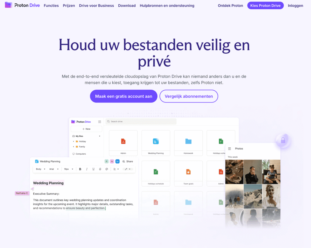 Proton Drive screenshot